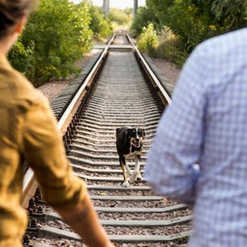 EComm, Airbnb Online Experiences